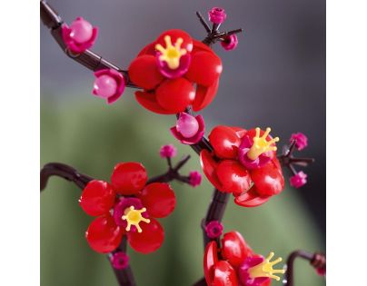 LEGO® Icons 10369 Marhuľa japonská