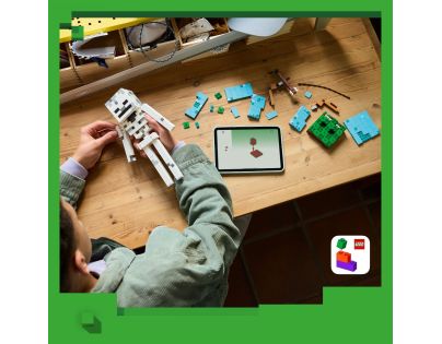 LEGO® Minecraft 21594 Kostlivec
