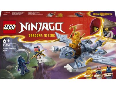 LEGO® NINJAGO® 71810 Dračie mláďa Riyu