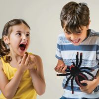 Lexibook Pavúk na diaľkové ovládanie 5