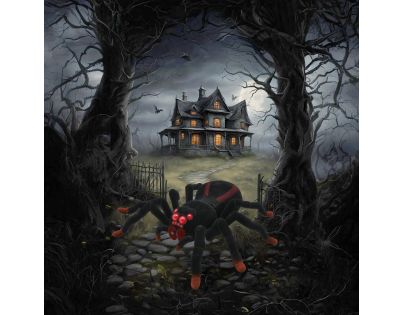 Lexibook Pavúk na diaľkové ovládanie