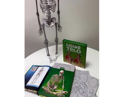 Ľudské telo - 3D MODEL - Zábavná encyklopédia