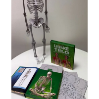 Ľudské telo - 3D MODEL - Zábavná encyklopédia 2