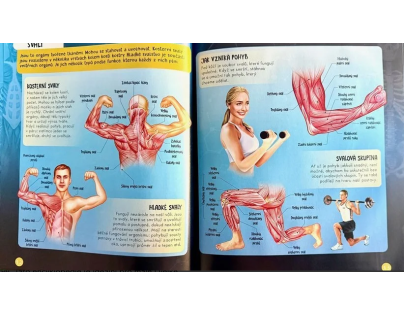 Ľudské telo - 3D MODEL - Zábavná encyklopédia