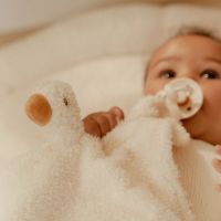 Little Dutch Maznáčik husa Newborn Naturals 6