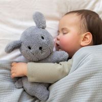 Little Dutch Psík Snuffie Fluffy Blue 25 cm 2