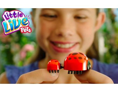 Little Live Pets Beruška - blister Sedmikráska světle fialová