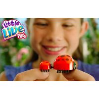 Little Live Pets Berušky Andělka modrá 4