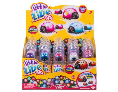 Little Live Pets Berušky Zaláskovaná růžová