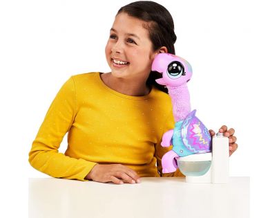 Little Live Pets Dúhová korytnačka