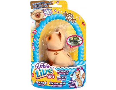 Little Live Pets Mluvící mazlíček II. - Bonbónek