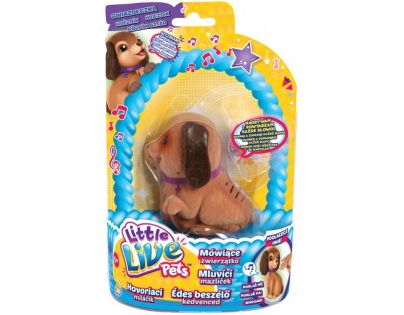 Little Live Pets Mluvící mazlíček II. - Hvězdík
