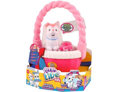 Little Live Pets Mluvící štěňátko v koši II. - Kvítko