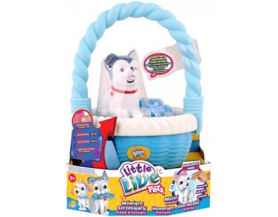 Little Live Pets Mluvící štěňátko v koši II. - Rošťák