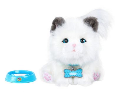 Little Live Pets Moje vysněné koťátko