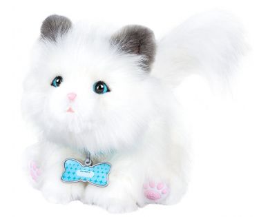 Little Live Pets Moje vysněné koťátko