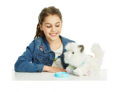 Little Live Pets Moje vysněné koťátko