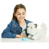 Little Live Pets Moje vysněné koťátko 3
