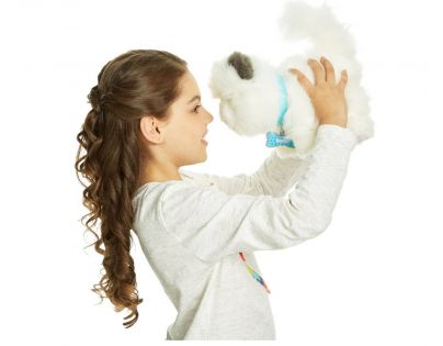 Little Live Pets Moje vysněné koťátko