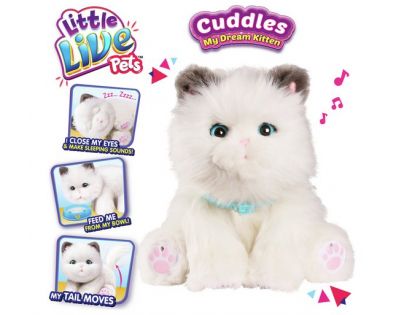 Little Live Pets Moje vysněné koťátko