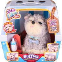 Little Live Pets Moje vysněné štěňátko Ruffles 3