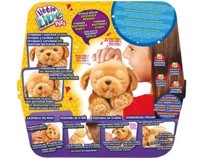 Little Live Pets Moje vysnené šteniatko Snuggles