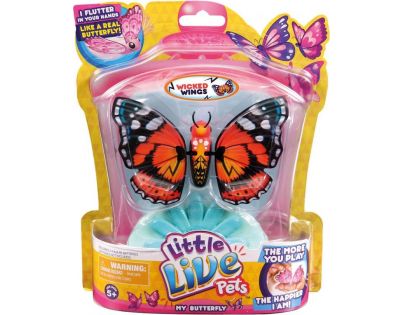 Little Live Pets Motýľ - Krásna krídla