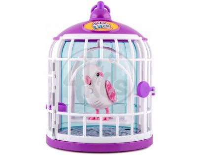Little Live Pets Ptačí klec s ptáčkem - Krásná Tanečnice
