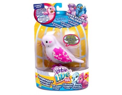 Little Live Pets Ptáček - Rorýsek