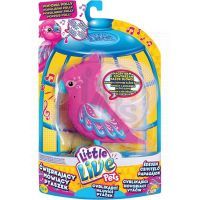 Little Live Pets Ptáček 28076 - Populární Polly 2