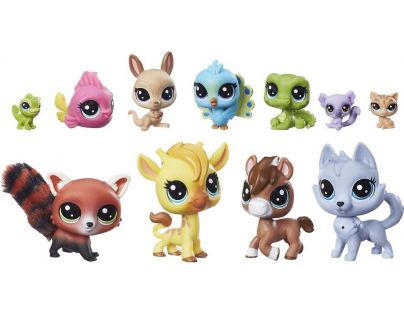 Littlest Pet Shop Herní set zvířátek A Colourful Bunch