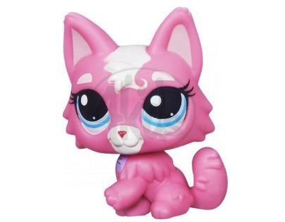 Littlest Pet Shop Jednotlivá zvířátka A - 3561 Kočka