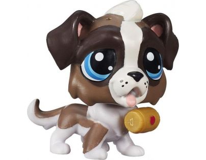 Littlest Pet Shop jednotlivá zvířátka - Bernie St. Croix