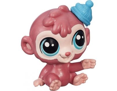 Littlest Pet Shop jednotlivá zvířátka B A8229 - Cash Palmer