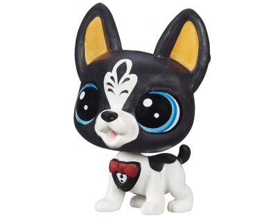 Littlest Pet Shop jednotlivá zvířátka B A8229 - Tux Blackstone