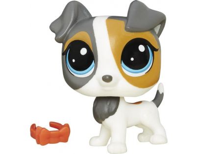 Littlest Pet Shop jednotlivá zvířátka Scamps Russo