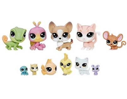 Littlest Pet Shop Velké balení 11 ks zvířátek C1674