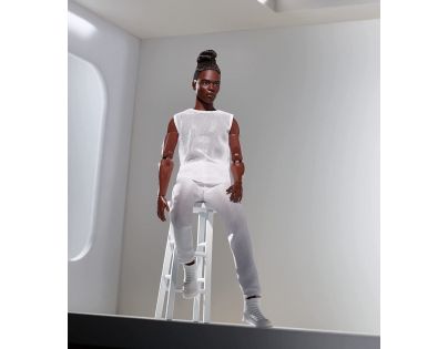 Mattel Barbie Basic Ken s hnedými vlasmi