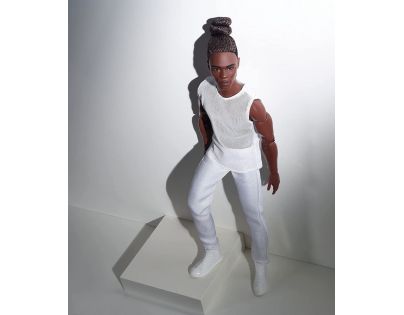 Mattel Barbie Basic Ken s hnedými vlasmi