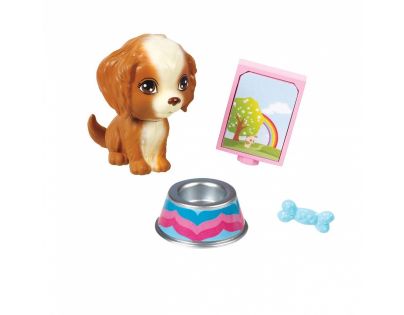 Mattel Barbie mini doplňky Pejsek s doplňky