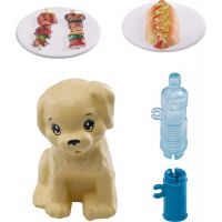 Mattel Barbie mini herní set s mazlíčkem grilování GRG76 3