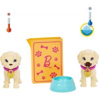 Mattel Barbie Bábika so psíkmi 2