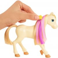 Mattel Barbie Rozkošný koník s doplnkami 6