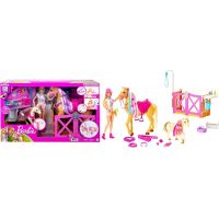 Mattel Barbie Rozkošný koník s doplnkami 2