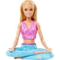 Mattel Barbie v pohybe Blondínka v modrých legínach 4