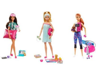 Mattel Barbie wellness bábika hnedé vlasy