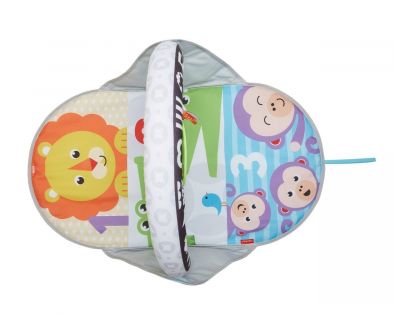 Mattel Fisher Price dečka pre aktívnu zábavu 2v1