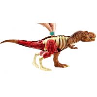 Mattel Jurský svět herní set anatomie 2