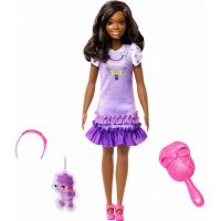 Mattel Moja prvá Barbie bábika Čiernovláska s pudlíkom 34 cm 2