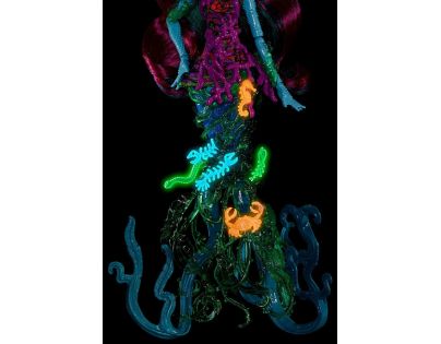 Mattel Monster High Nová příšerka z útesu - Posea Reef